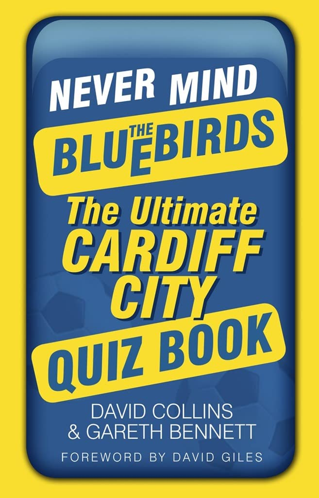 Image: Nevermind The Bluebirds